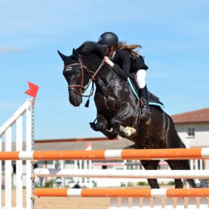 horse riding, horse, jumping obstacle, nature, equestrian show