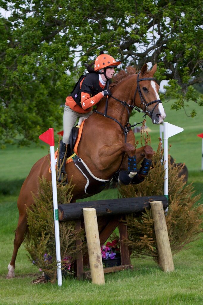 horse, eventing, nature, equestrian, jumping, equine, horse riding, horse jumping, brown, competition, rider, animal, green event